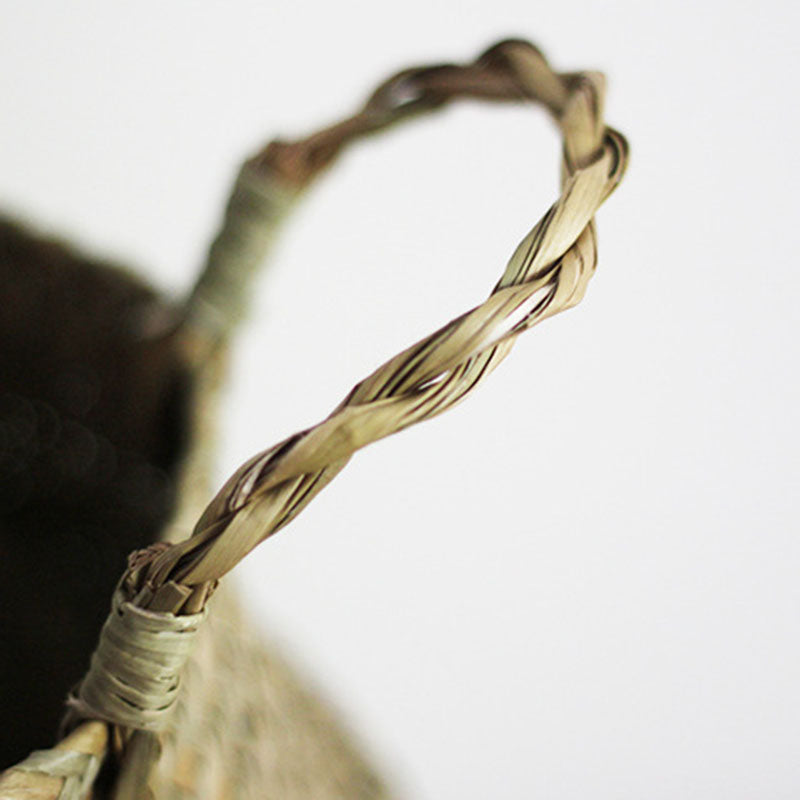 Woven Seagrass Hanging Plant Organizer