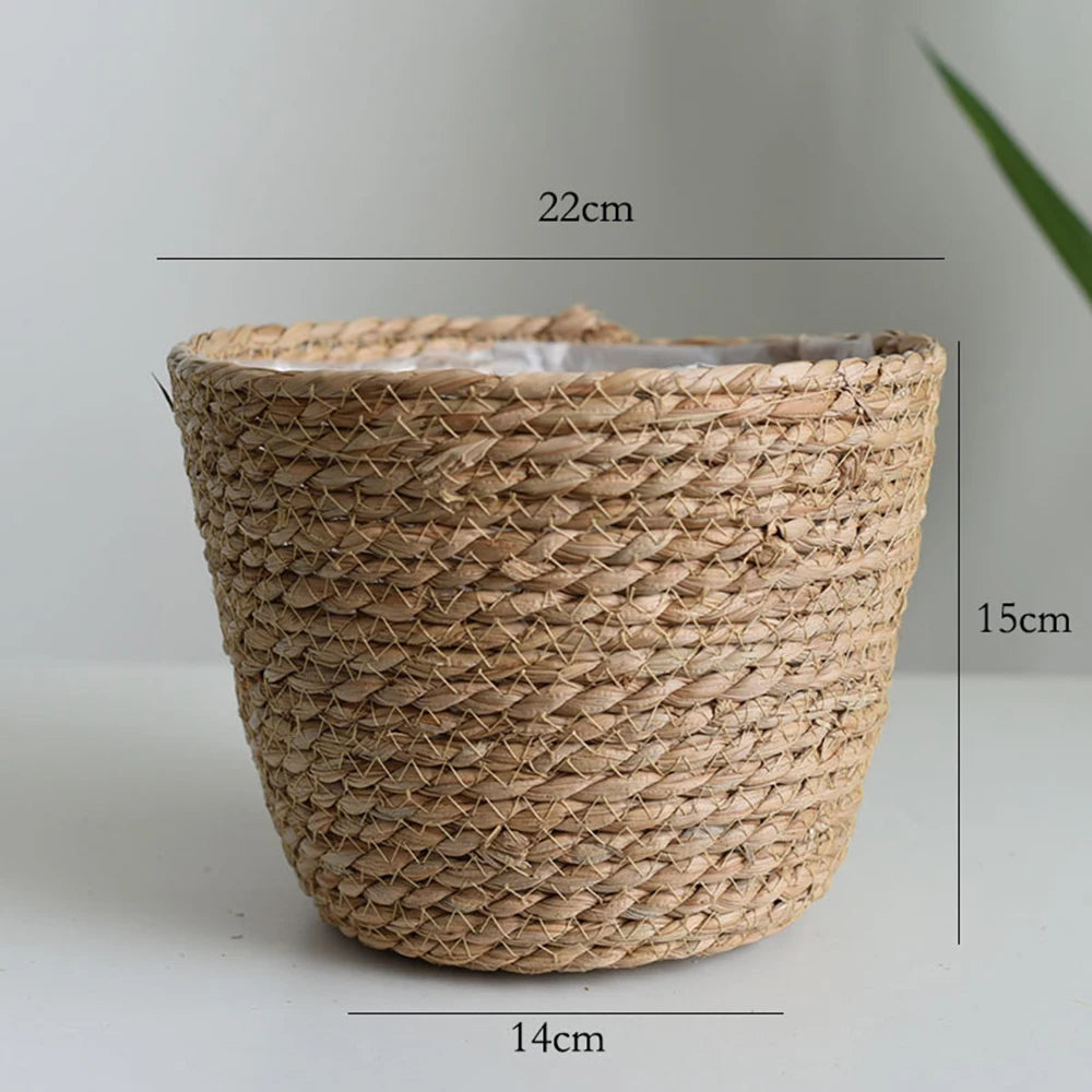 Woven Seagrass Hanging Plant Organizer