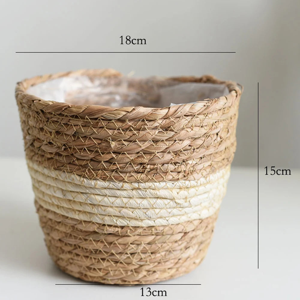 Woven Seagrass Hanging Plant Organizer