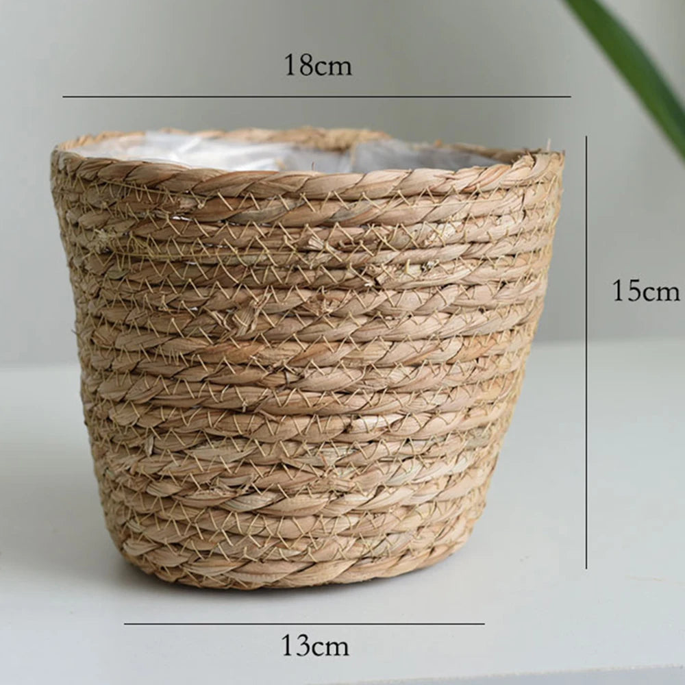 Woven Seagrass Hanging Plant Organizer