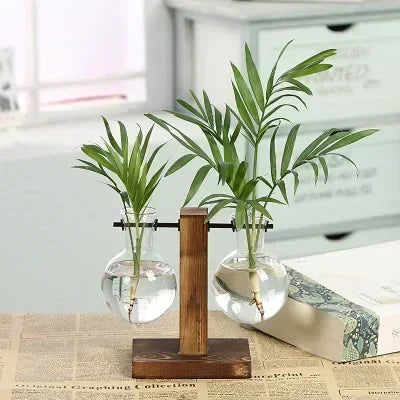 Wood & Glass Plant Terrarium